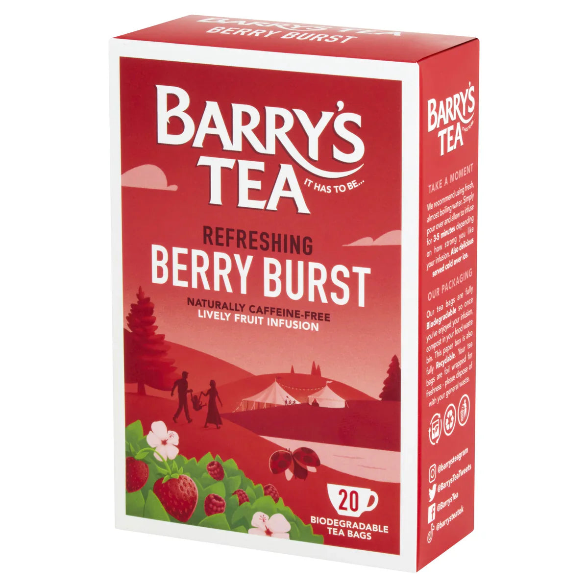 Barry's Berry Burst 20 Tea Bags